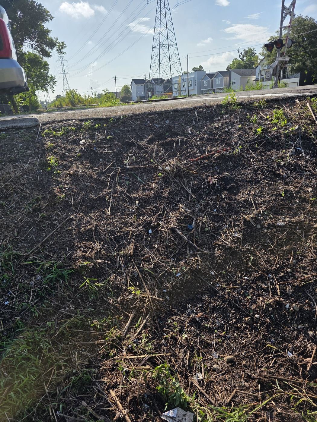 Debris and yard waste cleared along a property line